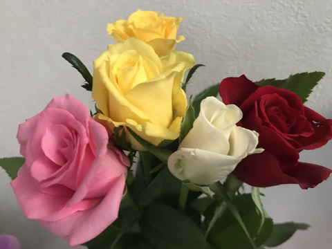 FE0C12DB-738D-4C8C-927C-46687F84EE31.jpg