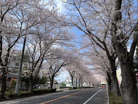 IMG_4530.jpeg