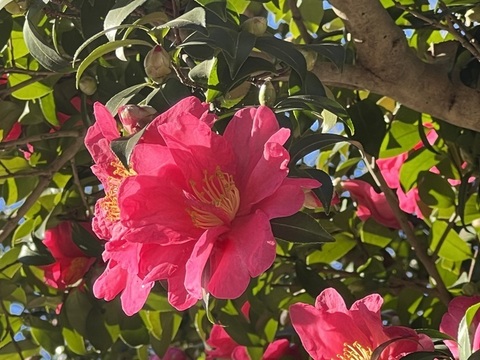 IMG_5967.jpeg
