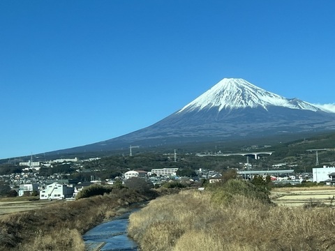 IMG_6865.jpeg