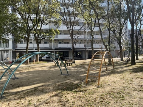 IMG_6874.jpeg