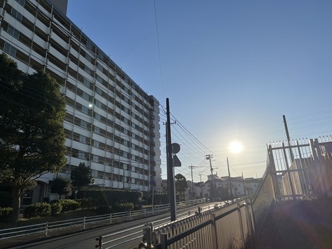 IMG_6935.jpeg