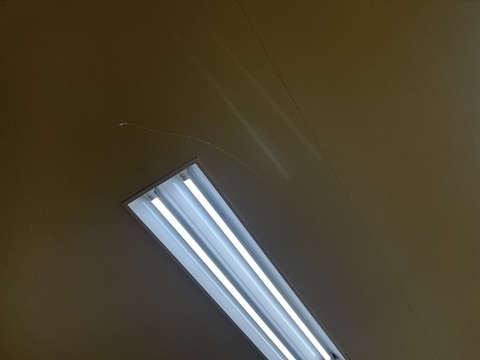 IMG_7391.jpeg